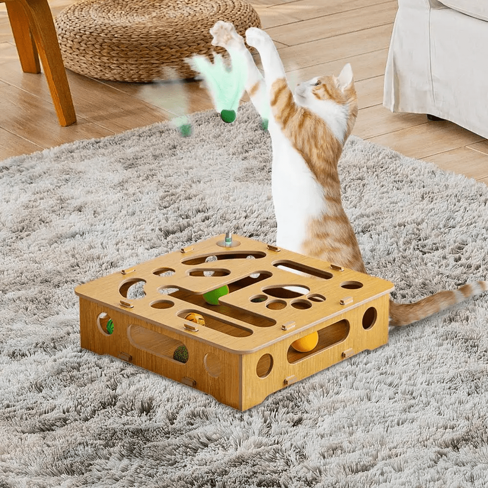 Jouet pour chat - CatPuzzleToy™ - L'Esprit du Chat Zen