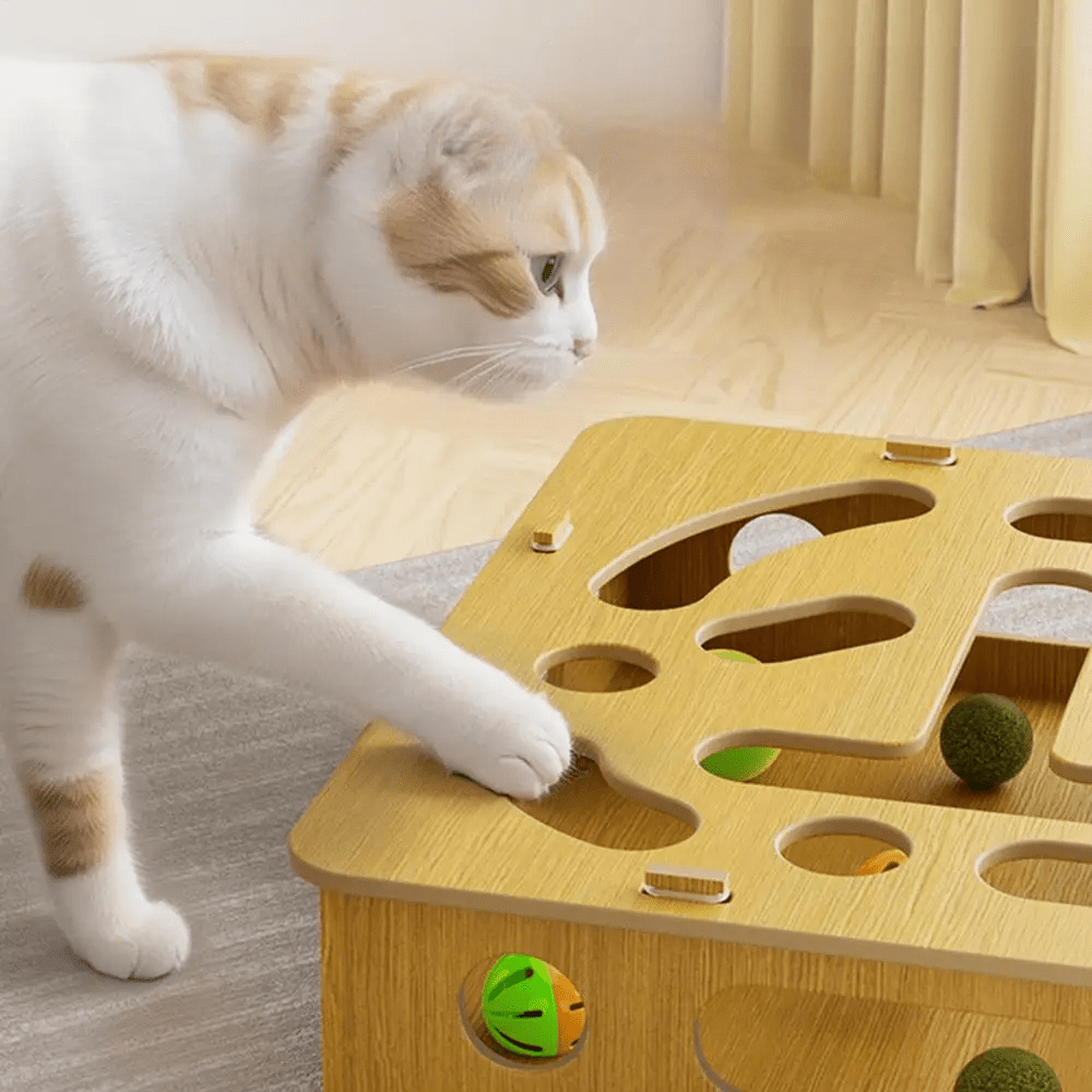 Jouet pour chat - CatPuzzleToy™ - L'Esprit du Chat Zen