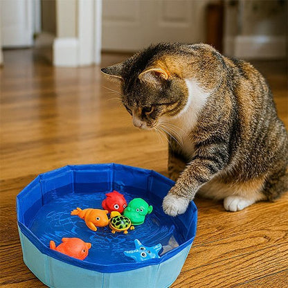Jouet pour chat piscine à animaux chat joue penche dessus