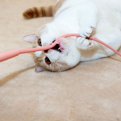 Jouet pour chat baton imite queue rat chat qui mort dedans