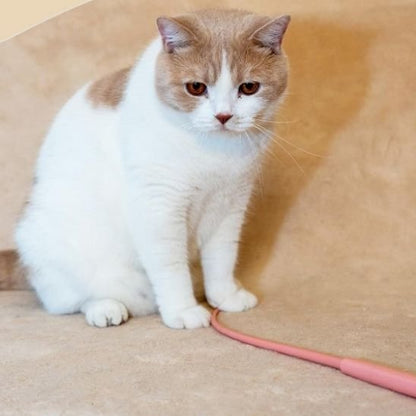 Jouet pour chat baton en forme de queue de souris au pied chat