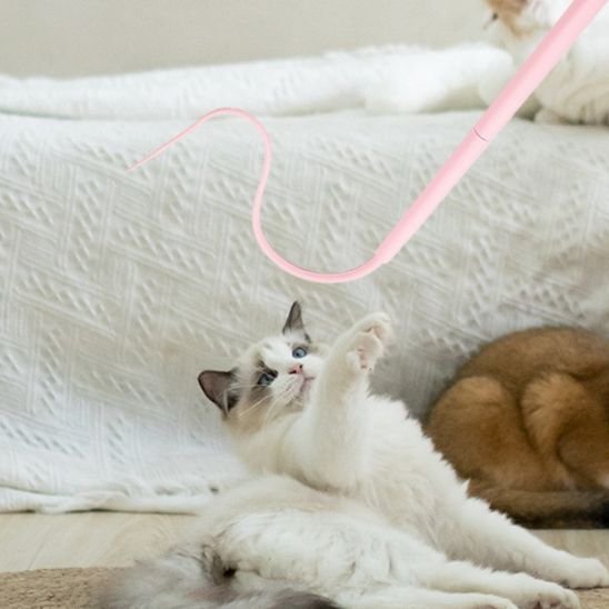 Jouet pour chat baton queue de rat chambre chat joue 