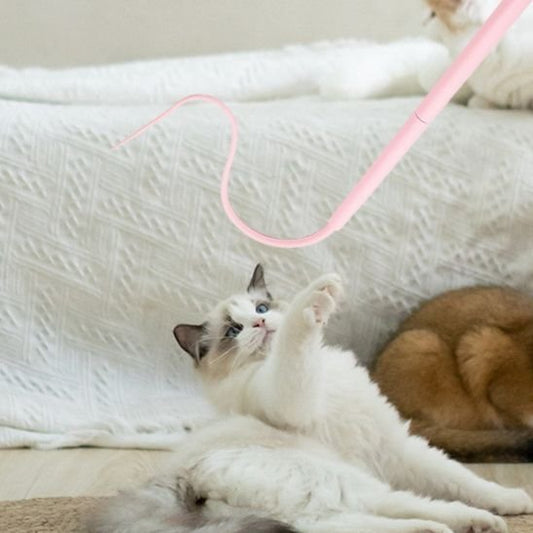 Jouet pour chat baton queue de rat chambre chat joue 
