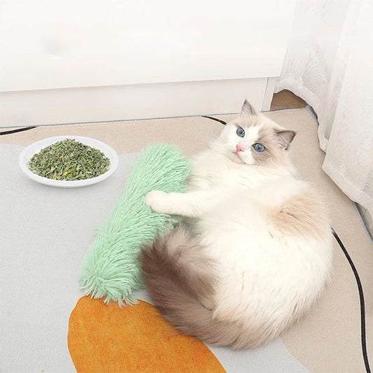 Chat blanc allongé près coussin pelucheux vert et bol d'herbes à chat
