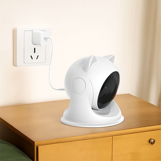 Laser chat | Chat’perché - L'Esprit du Chat Zen