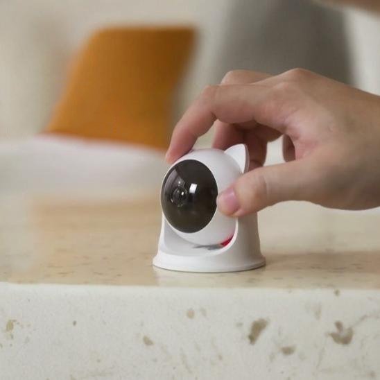 Laser chat | Chat’perché - L'Esprit du Chat Zen