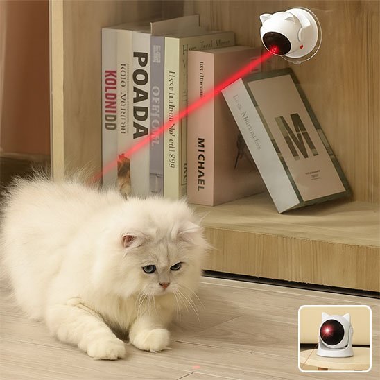 Laser chat | Chat’perché - L'Esprit du Chat Zen