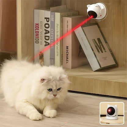 Laser chat | Chat’perché - L'Esprit du Chat Zen