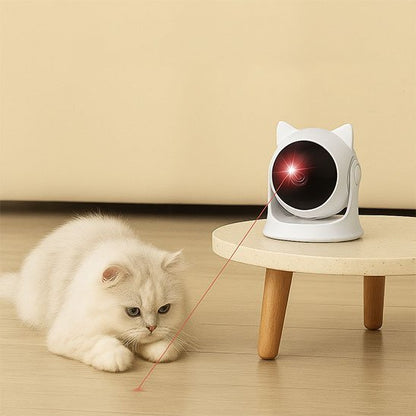 Laser chat | Chat’perché - L'Esprit du Chat Zen