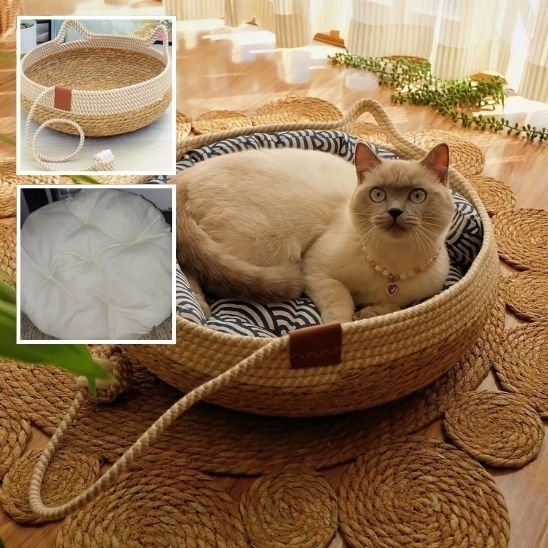 Lit pour chat persan couché lit zoom tressage et coussin