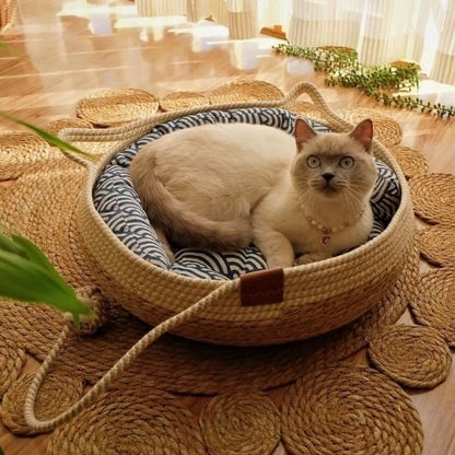 Lit pour chat persan couché dans lit