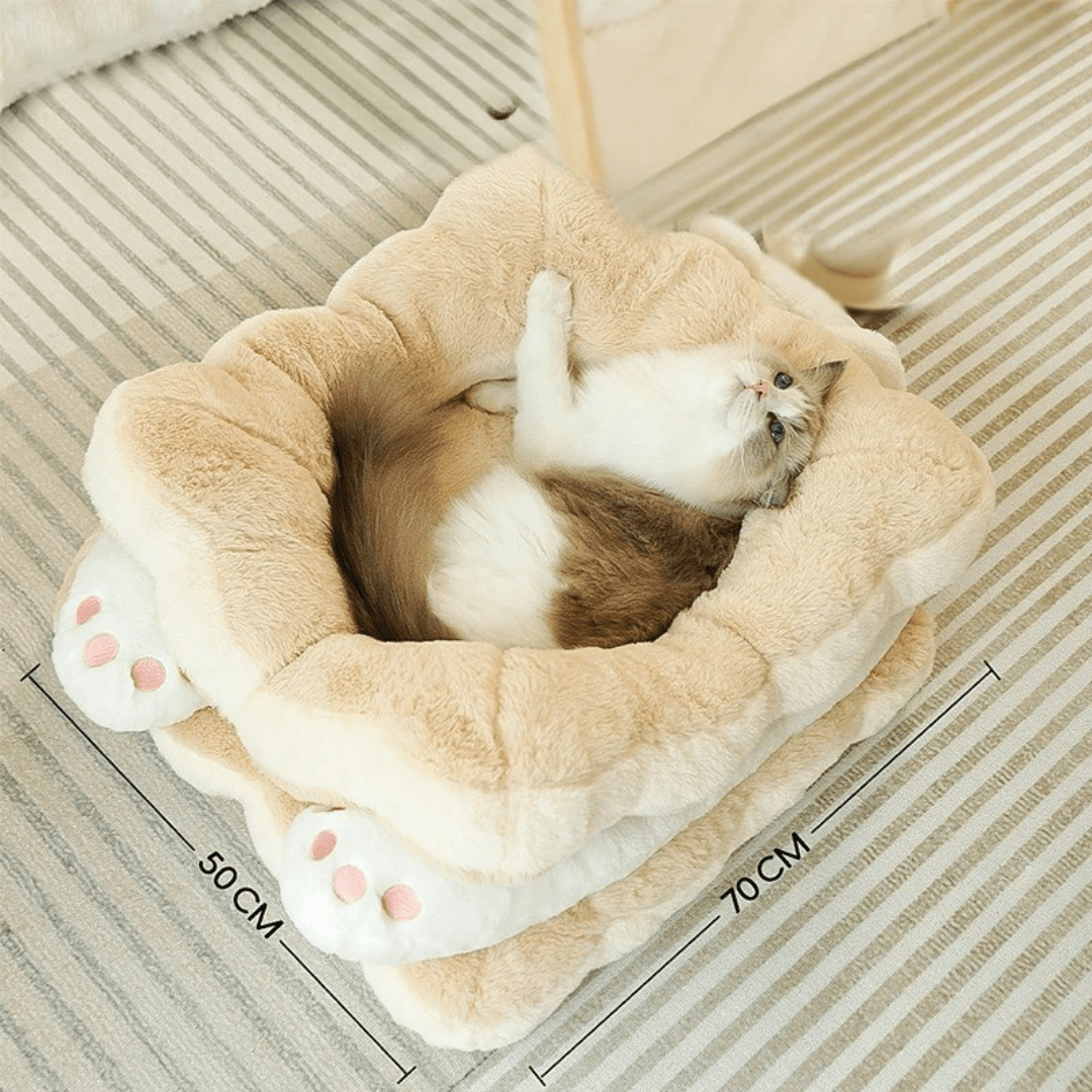 panier chat vue aerienne