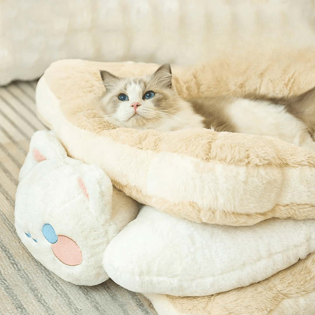 panier chat biscuit sandwich profil