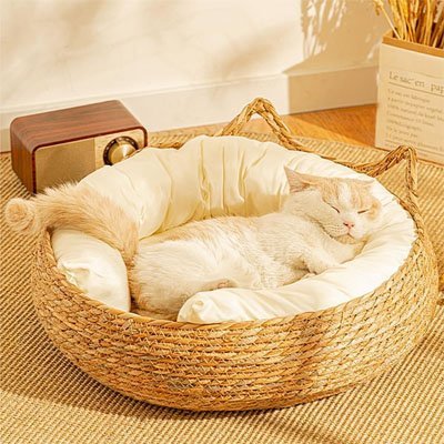 Panier pour chat en osier coussin blanc chaton endormi