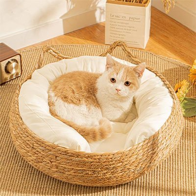 Panier pour chat osier coussin blanc chat allongé