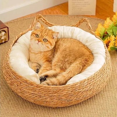 Panier pour chat en osier chat roux allongé