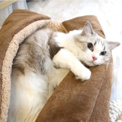 Panier pour chat, chat blotti dans panier brun molletonné 