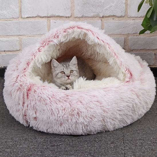 Chaton gris dans panier pour chat rose et intérieur blanc