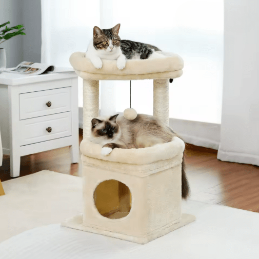 petit arbre a chat beige deux chats salon