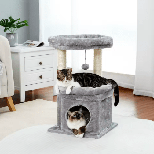 petit arbre a chat gris deux chats salon