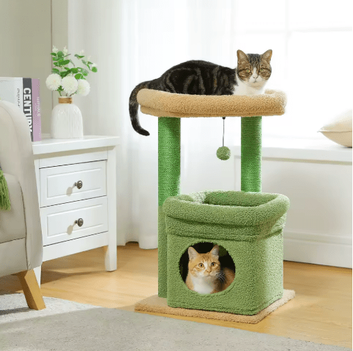 petit arbre a chat vert deux chats salon