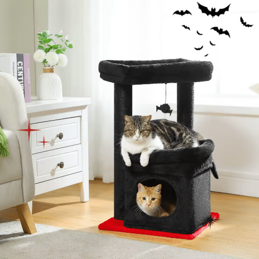 petit arbre a chat noir rouge deux chats salon