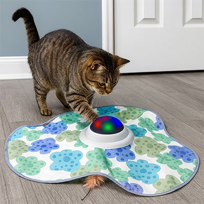 Jouet chat interactif tapis cache cache chat joue