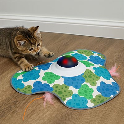 Jouet chat interactif tapis cache cache chaton joue