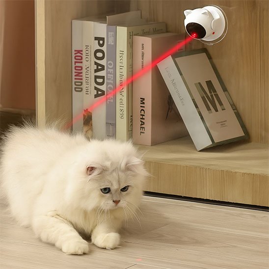 Laser chat | Chat’perché