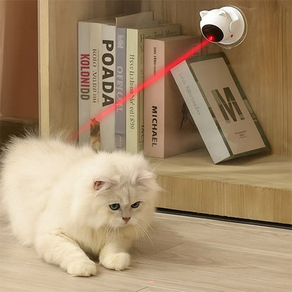 Laser chat | Chat’perché