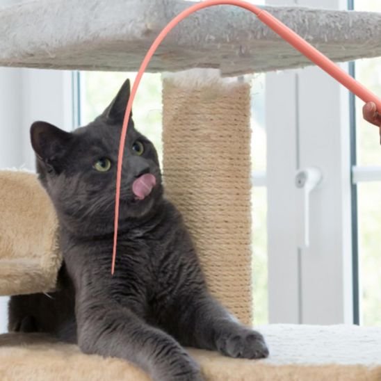 jouet pour chat baton queue de rat rose chat joue sur arbre a chat