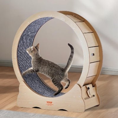 Roue Chat - KittyTread™ - Beige - L'Esprit du Chat Zen