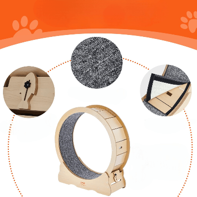 Roue Chat - KittyTread™ - Beige - L'Esprit du Chat Zen