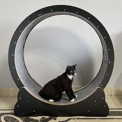 Roue Chat - KittyTread™ - Noir - L'Esprit du Chat Zen