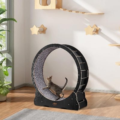 Roue Chat - KittyTread™ - Noir - L'Esprit du Chat Zen