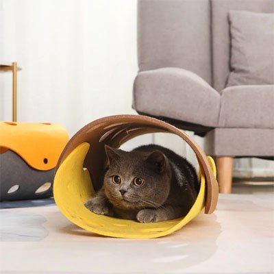 Tunnel Chat | Cat’adore™ - L'Esprit du Chat Zen