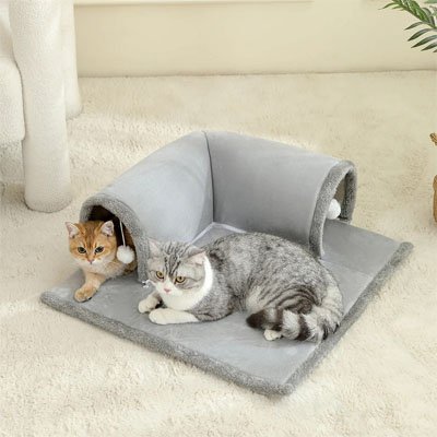 tunnel pour chat gris deux chats couche dessus