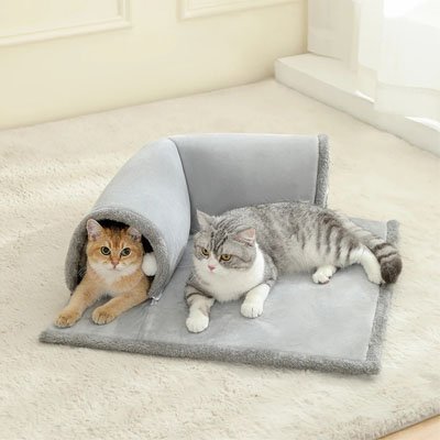 tunnel pour chat en angle deux chats dessus